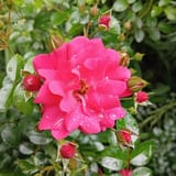IMG_20250614_094233_862