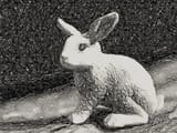 41815972991_5d4446df79_b
