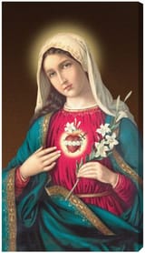 immaculate-heart-of-mary (2)