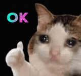 crycat-crying-cat