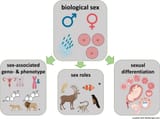 bies202200173-fig-0001-m