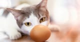 shutterstock_793092628__FocusFillWyIwLjAwIiwiMC4wMCIsMTIwMCw2Mjhd