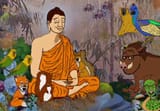 Chuddha&#039;s animals