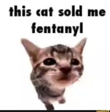 35640d71bf2bcdd5a25aa0a05956ef5a