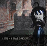 iwishiwaspriddy