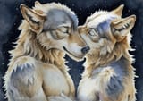 two wolves