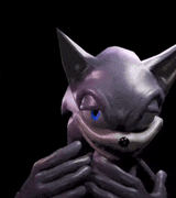zesty-sonic-zesty