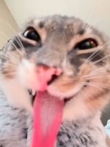 Gq0fjCbW8AAm8lJ