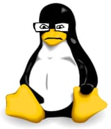 1750090048674u