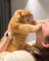 stop kissing me!