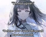 1731982969100245