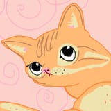 shimp