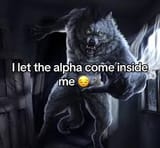 wolf
