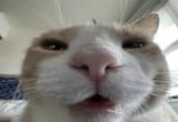 1746658929190