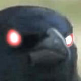 1748079542599991