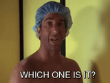 friends-ross