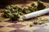 marijuana-1024x683