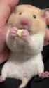 1750374704682_thumb.jpg