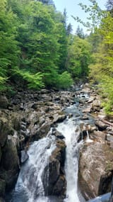 20250512_122458(1)