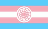 trans_fascist_flag_by_dawidtereska_de9ehdo-fullview