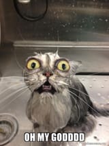 omg