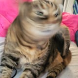 20250603_083354