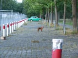 DSCN0426