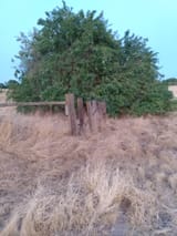 IMG_20250603_203914386