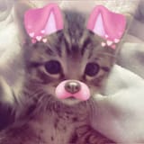 e3fecb2f65940244b37bae04abeebabd