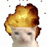 cat-explosion-3565624376