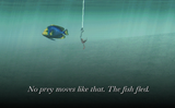 angling
