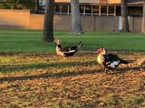 IMG_0136