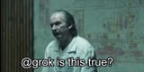 chernobyl at grok is this true - Copy