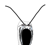 1750558756255w