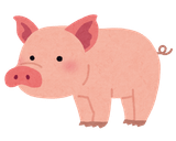 animal_pig_buta