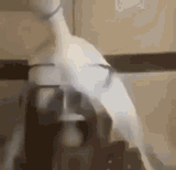 milk-milk-man