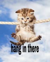cathanging