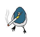 pigeoncig