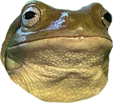 1743458937721077