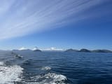 IMG_5138
