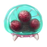 MSR_baby_artwork