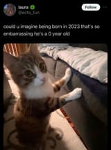 1750700368108819