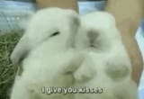 bun_KISSIES