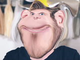 sneedjak
