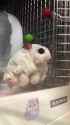 Video by emerariko1136p1750720800964_All_Video_Downloader~2_thumb.jpg