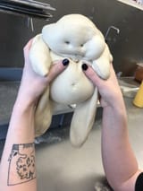 1725981116341957