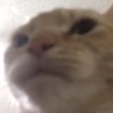 1687755562918758