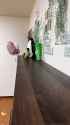 parrot_walk_thumb.jpg