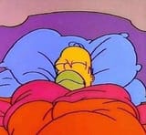 Homer-Simpson-sleeping-peacefully-meme-2rfd59 (1)