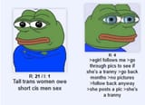 frogfags